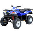 300cc chain drive Hunting size ATV
